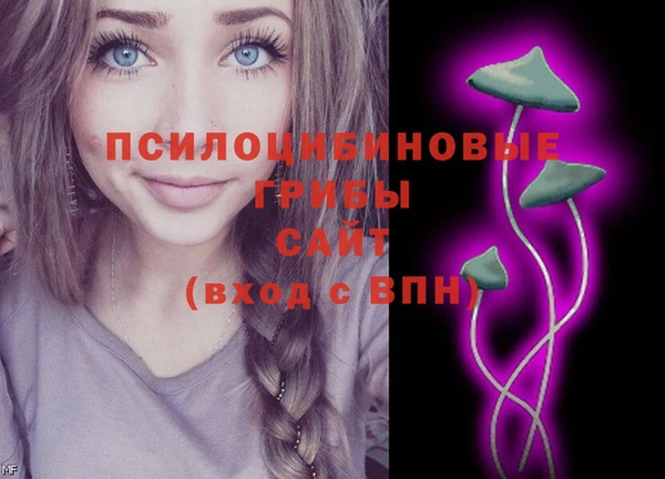 a pvp Арсеньев