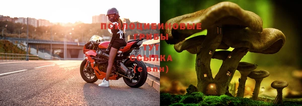 ALPHA PVP Аркадак