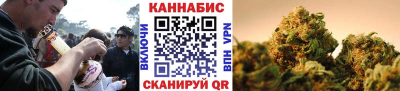 Шишки марихуана сатива  купить наркотики цена  Благодарный 
